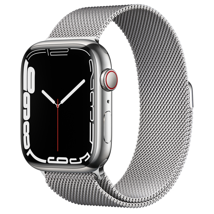 graphite vs stainless steel apple watch